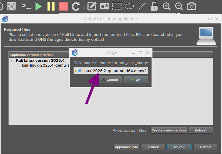 Disk Image version