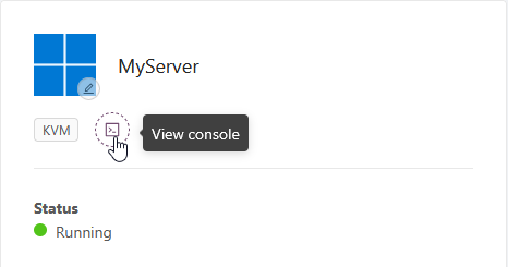 View the Console